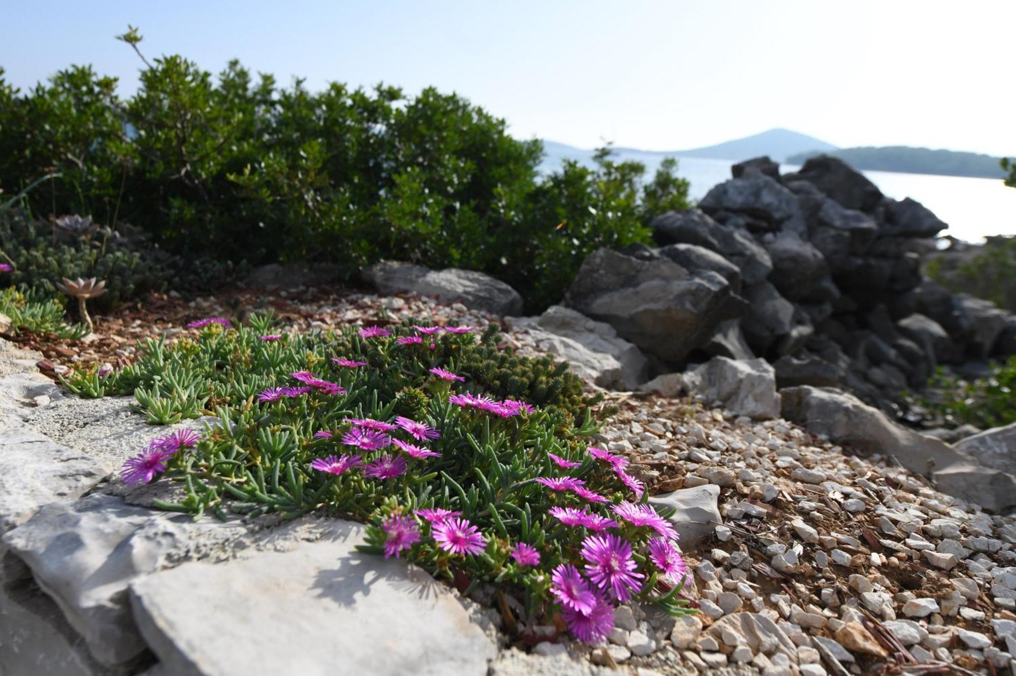 Beach House Marina Grande Betina (Sibenik-Knin) Exterior foto
