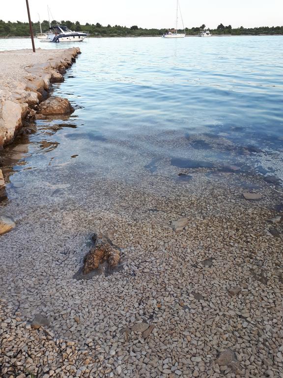Beach House Marina Grande Betina (Sibenik-Knin) Exterior foto